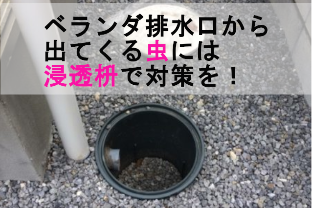 ベランダ排水口から出てくる虫には浸透枡で対策を 株式会社イワタ イワタドレン